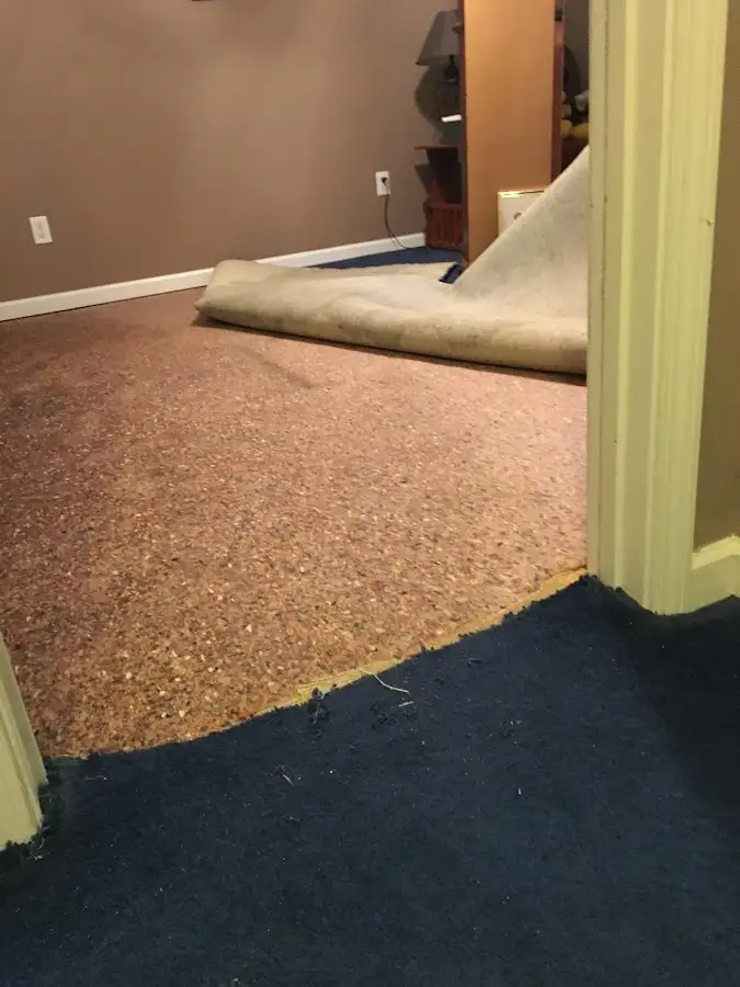 Carpet pad removal revealing water damage during Water Mitigation Services in Westminster