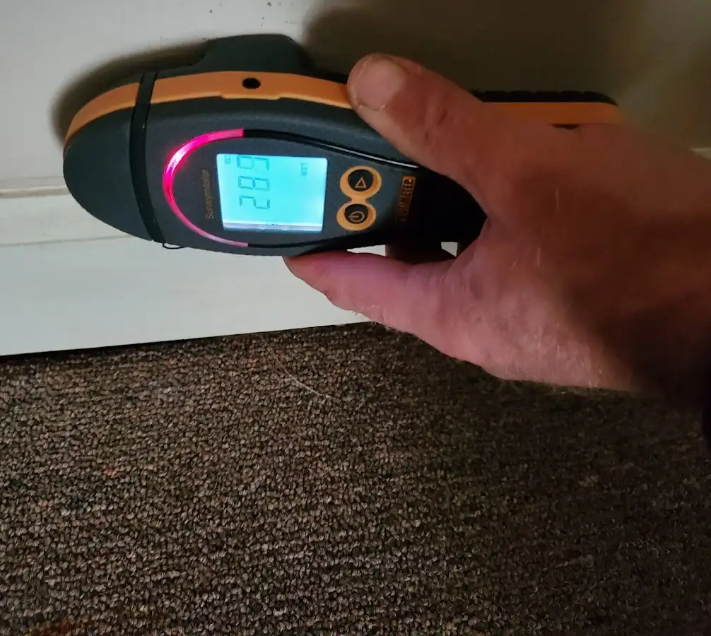 Moisture detection at baseboard during Burst Pipe Cleanup in Westminster